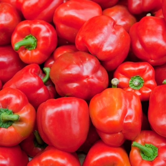 Organic Red Capsicum (each)