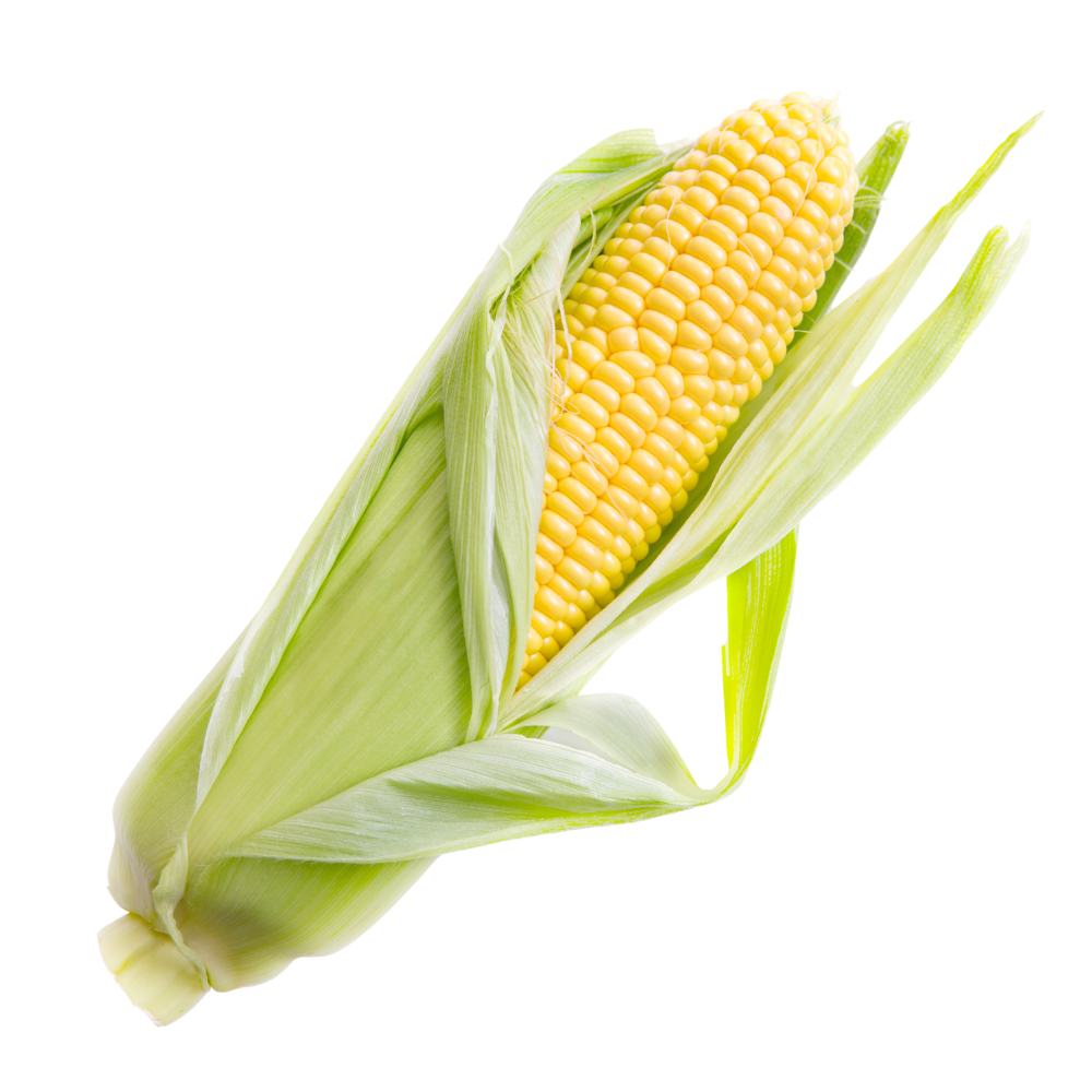 Organic Sweet Corn (each)