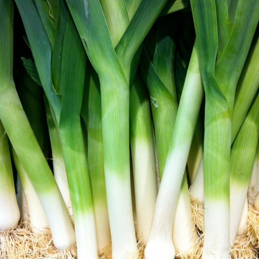 Organic Leek