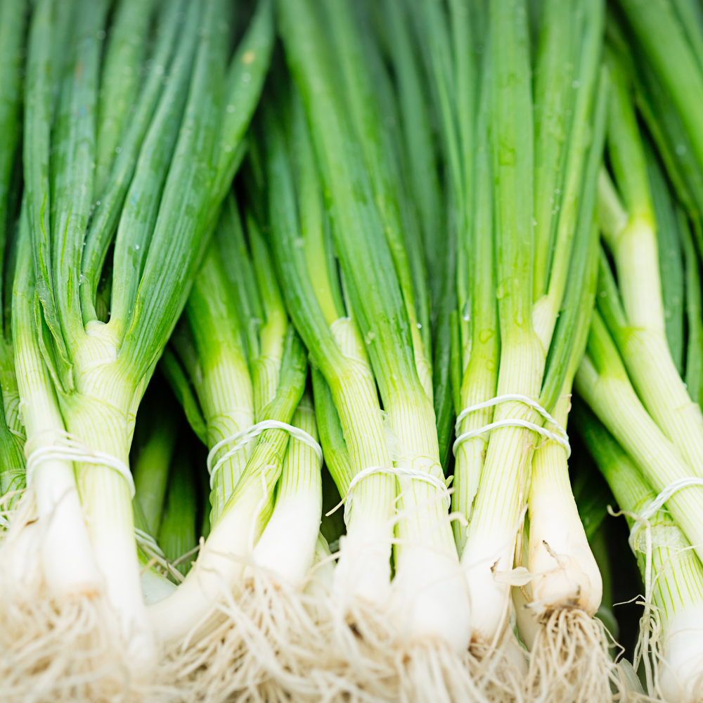 Organic Spring Onion (bunch)