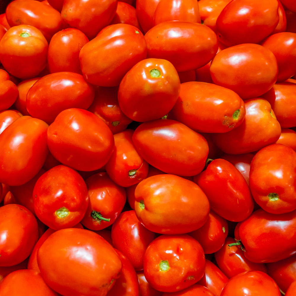 Organic Tomato Roma