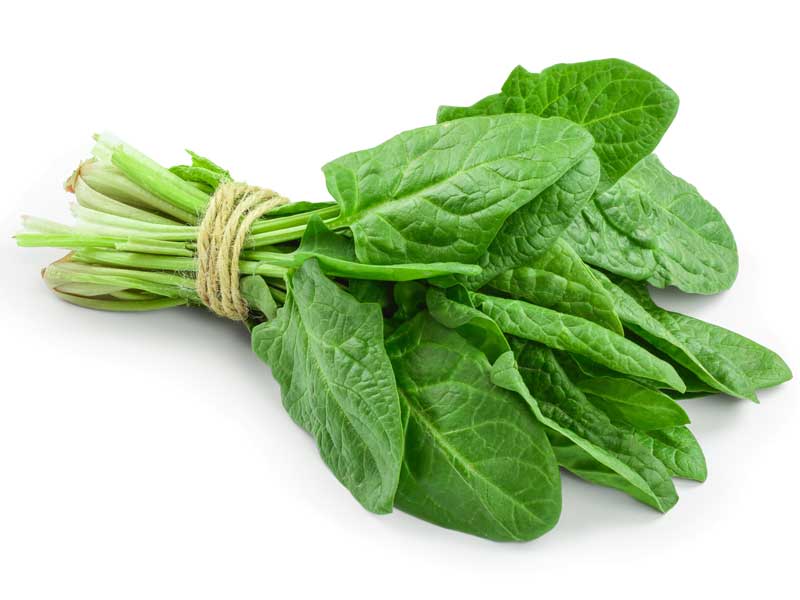 Organic Spinach (Bunch)