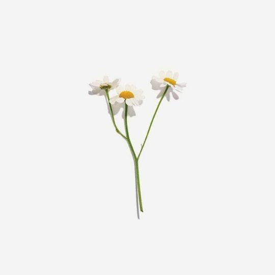 Love Tea Chamomile Tea Bags are certified organic and delivered to your door by Local Organic Delivery