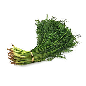 Organic Dill