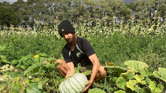 Having just clocked up his first year as an organic farmer, Josh tells us what motivated him to start growing organic veggies. He also gives us the run down on the key differences between organic and conventional farming.