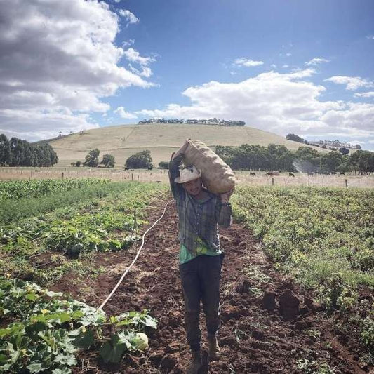 A few generations ago, eating local food was just the done thing. Our food system looks drastically different these days, but we can still choose to eat local and reap the benefits.