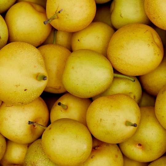 Get fresh, locally grown organic fruit and vegetables delivered to your door in Melbourne by Local Organic Delivery