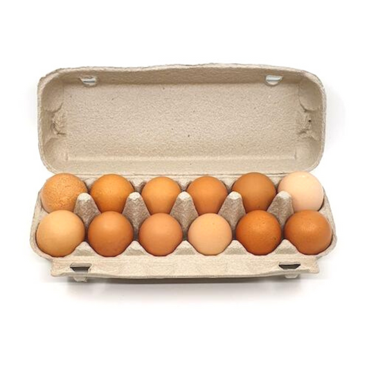12 Organic Eggs (600g)