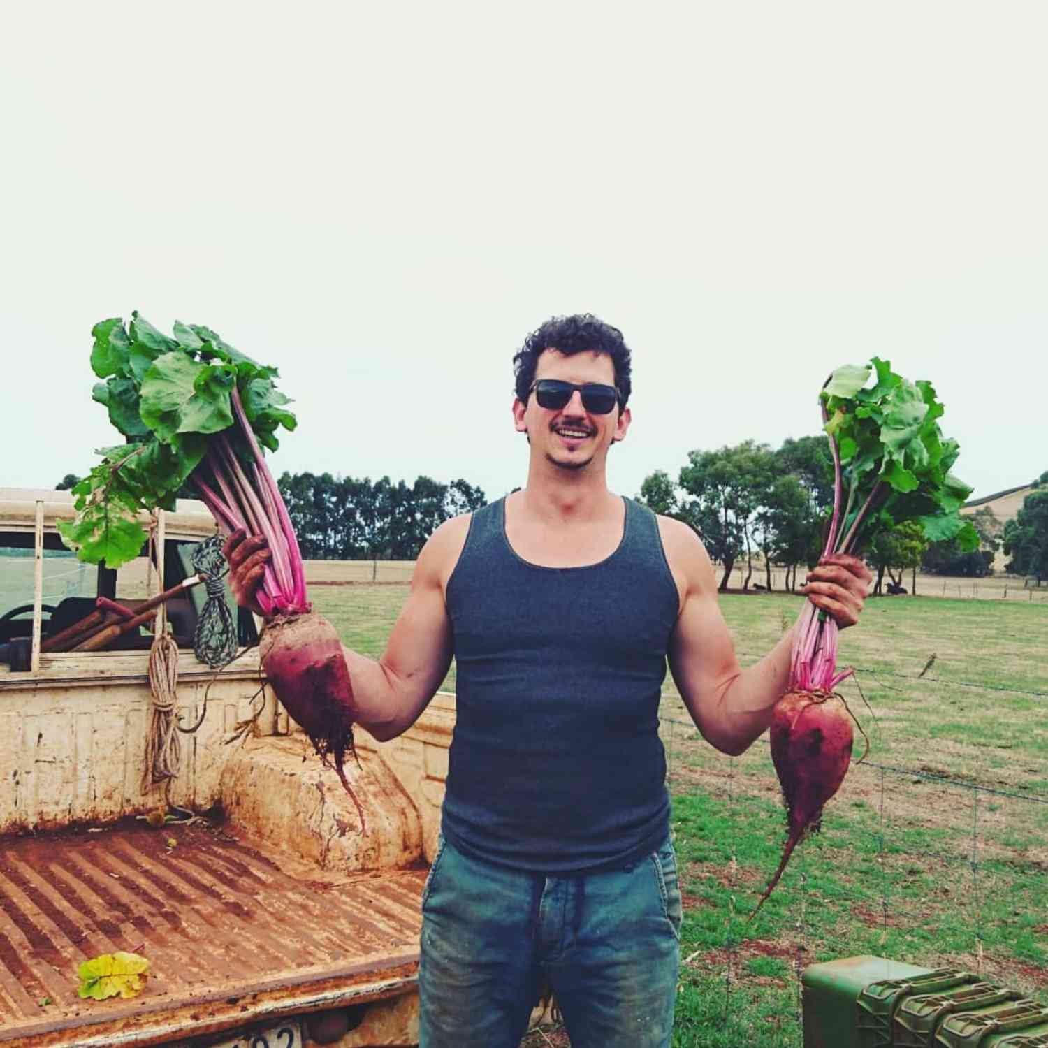When Local Organic Delivery began, Serge was an organic farmer and grew all the organic veggies himself