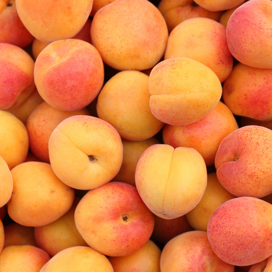 Organic Apricots