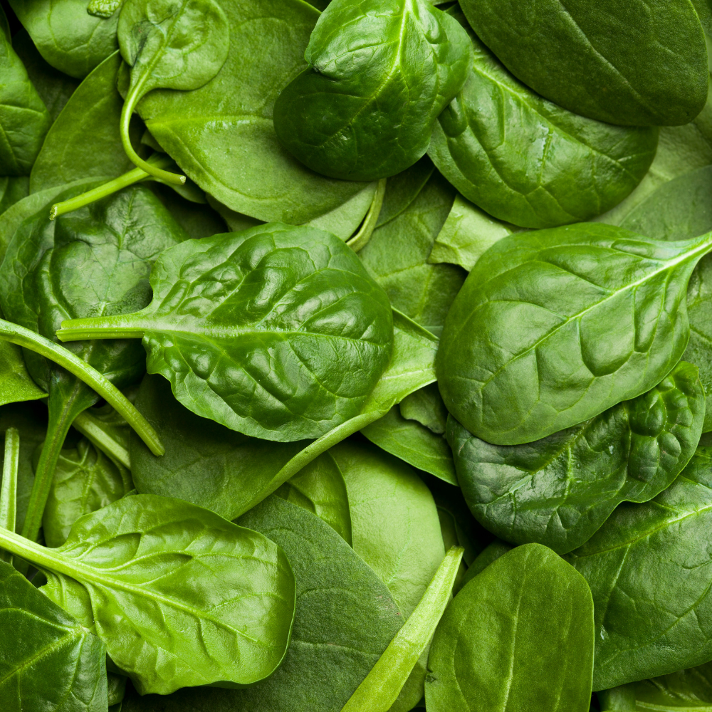 Organic Baby Spinach (120g)