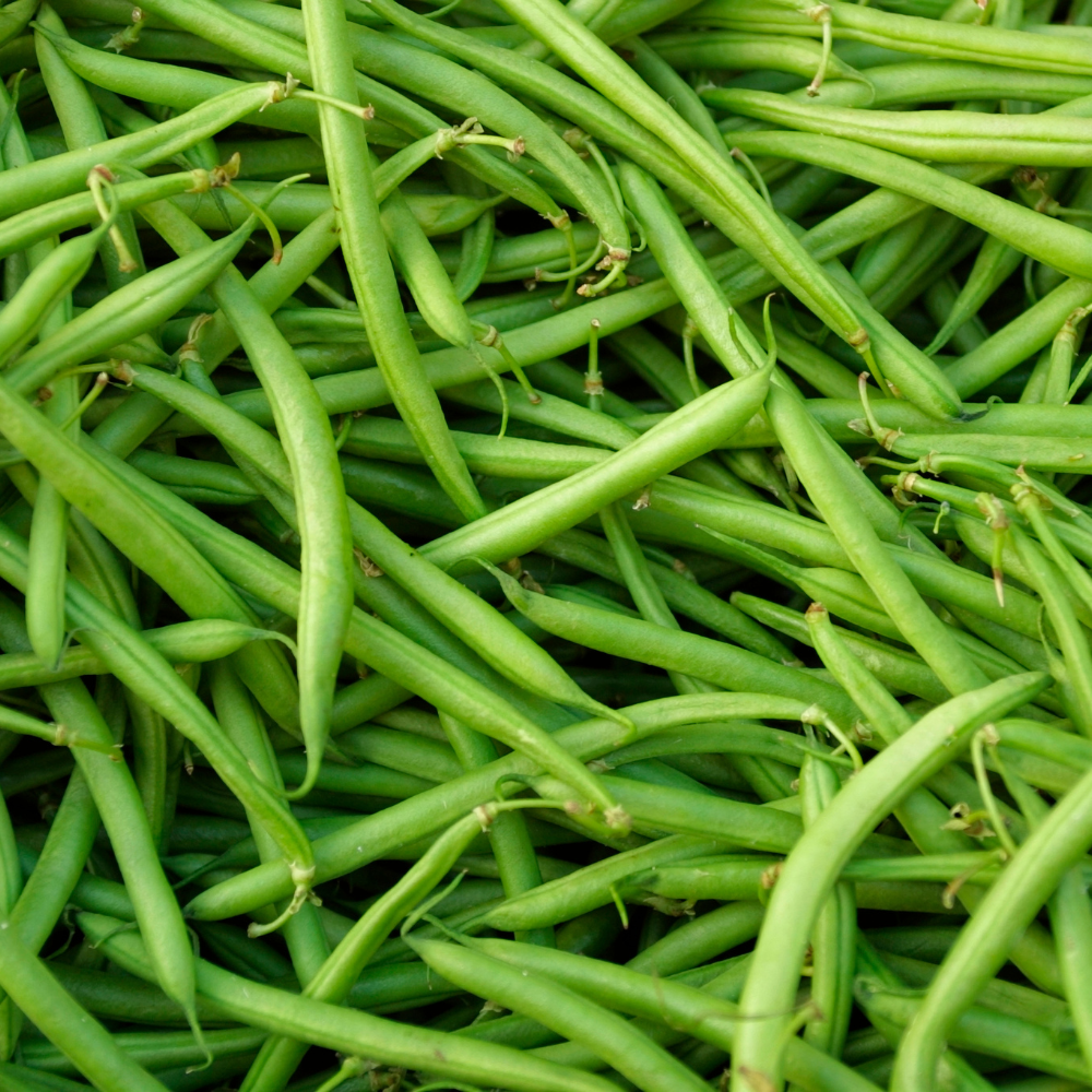 Organic Green Beans