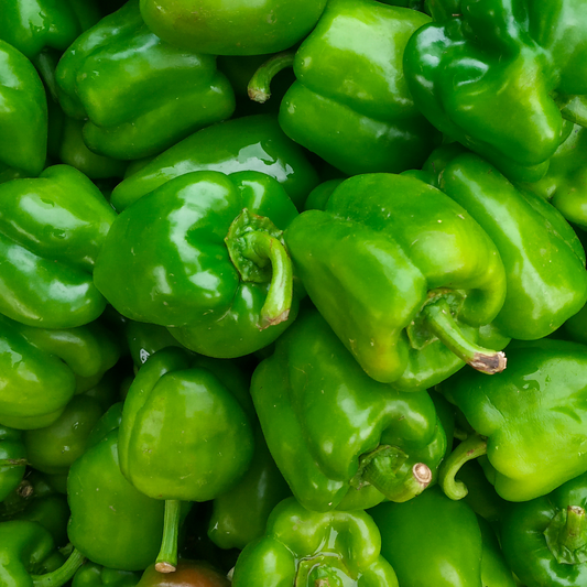Organic Green Capsicum (each)