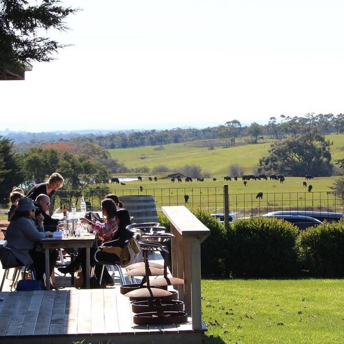 The scenic Captains Creek Organic Winery, a proud local and organic wine partner of Local Organic Delivery.