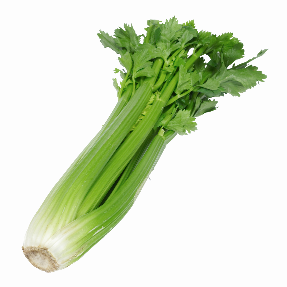 Organic Celery (bunch)