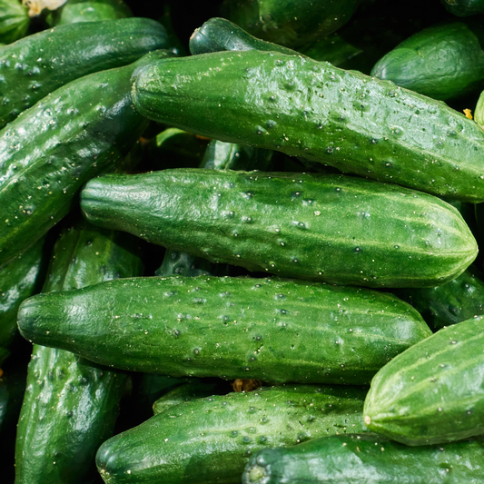 Organic Lebanese Cucumber (250g)