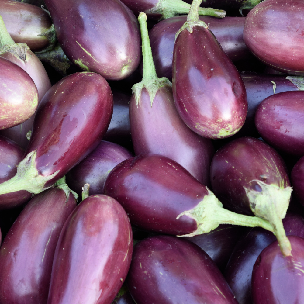 Organic Eggplant (each)