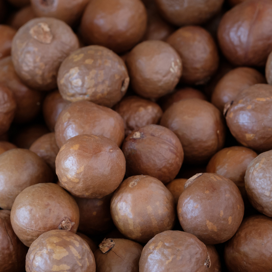 Organic Macadamia Nuts