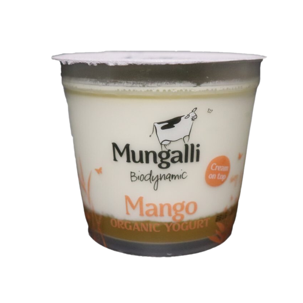 Organic Mango Yoghurt (160g)