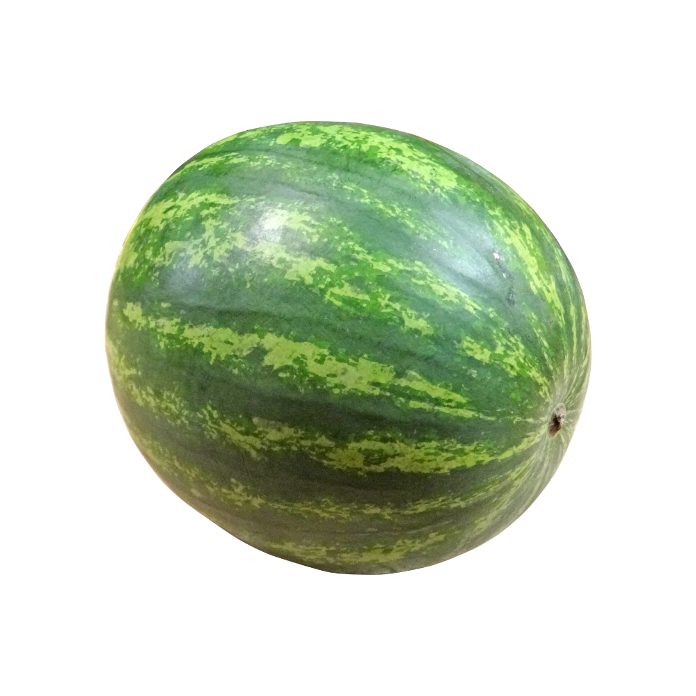 Organic Mini Watermelon (1-2kg)