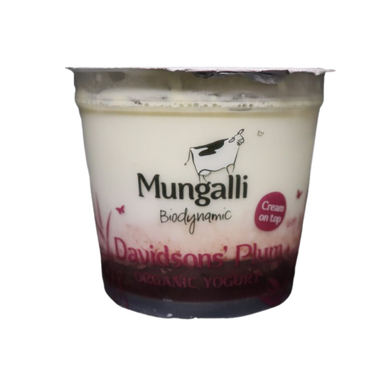 Organic Davidson's Plum Yoghurt (160g)