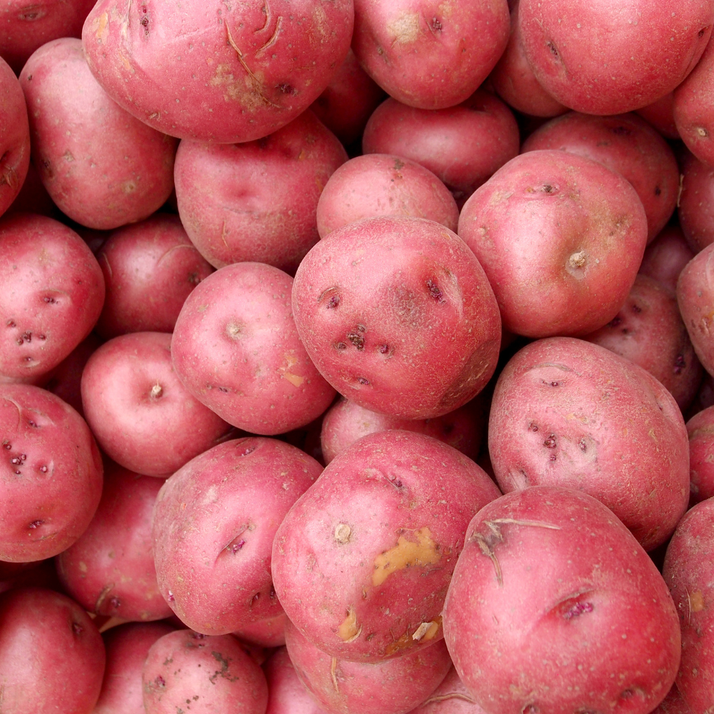 Organic Washed Red Potatoes