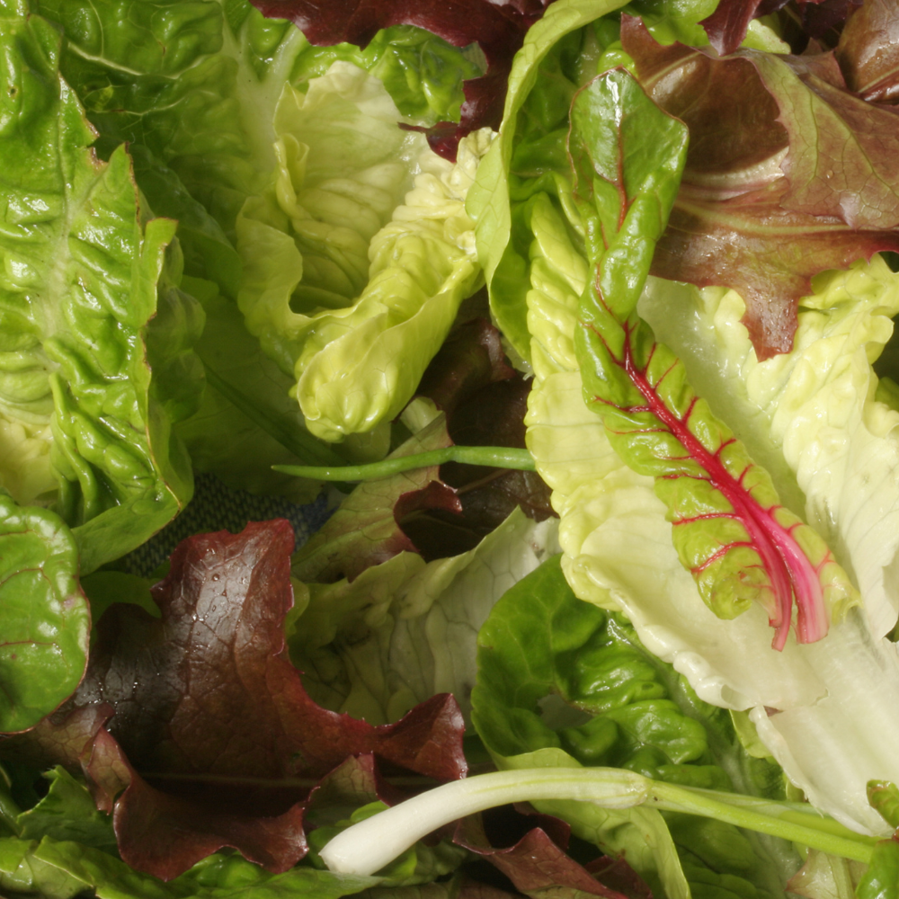 Organic Salad Leaf Mix (120g)
