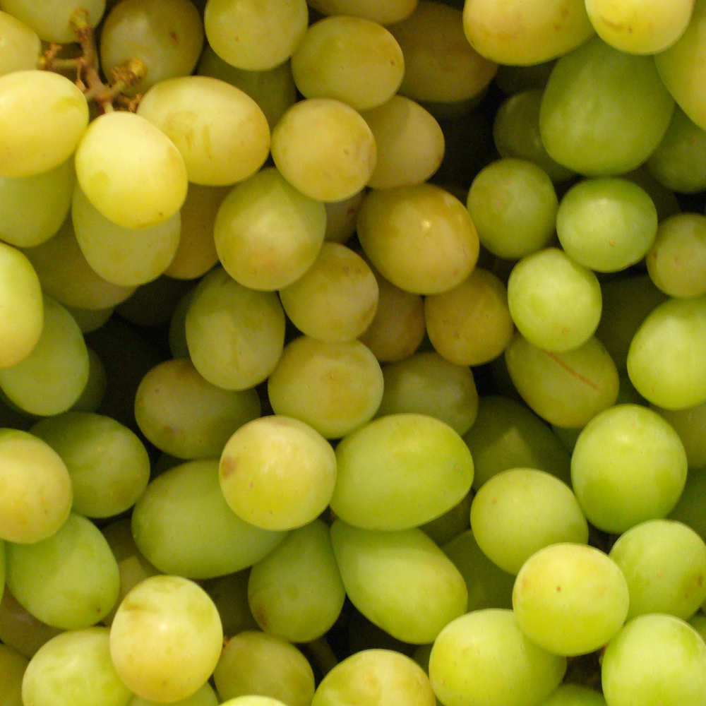 Organic Seedless White Grapes