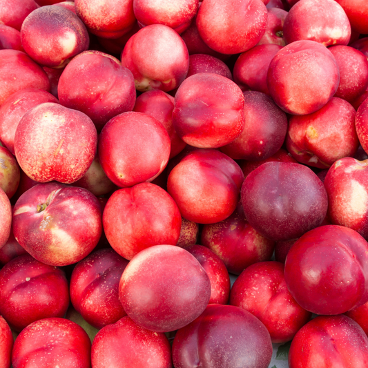 Organic Nectarines