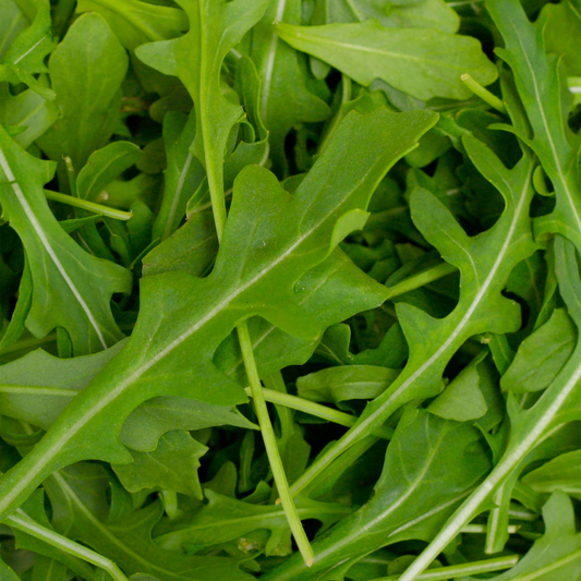 Organic Wild Roquette (120g)