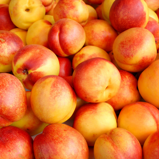 Organic Nectarines