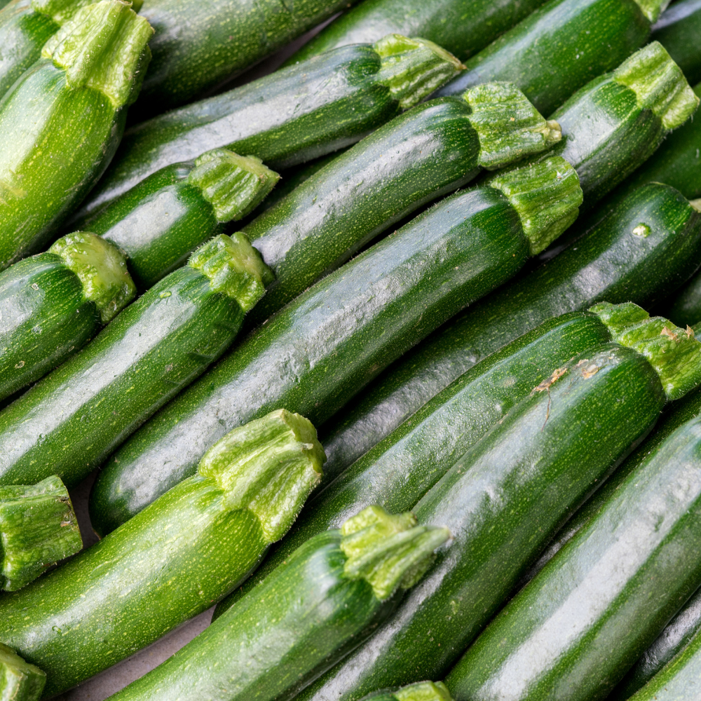 Organic Zucchini