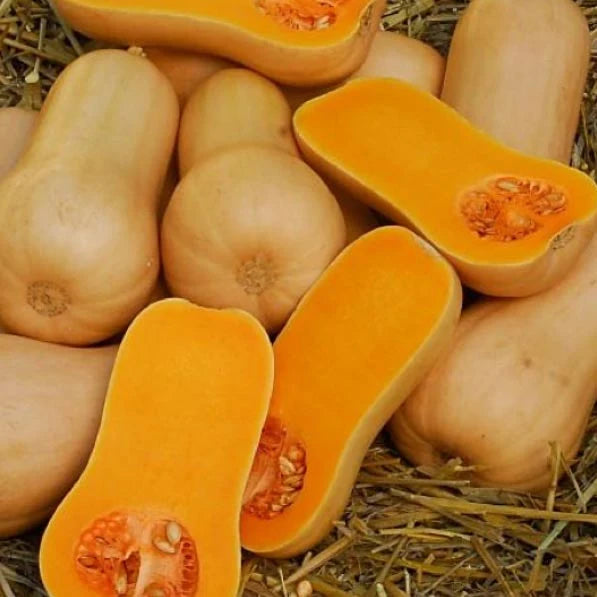 Organic Pumpkin