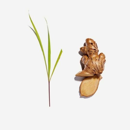 Love Tea Lemongrass and Ginger Tea Bags are certified organic and delivered to your door by Local Organic Delivery Melbourne