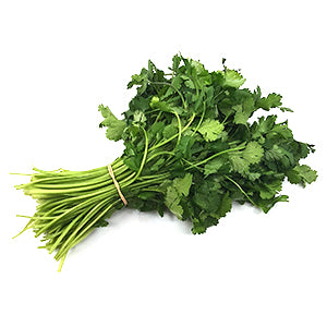 Fresh organic coriander bunch – buy online Melbourne