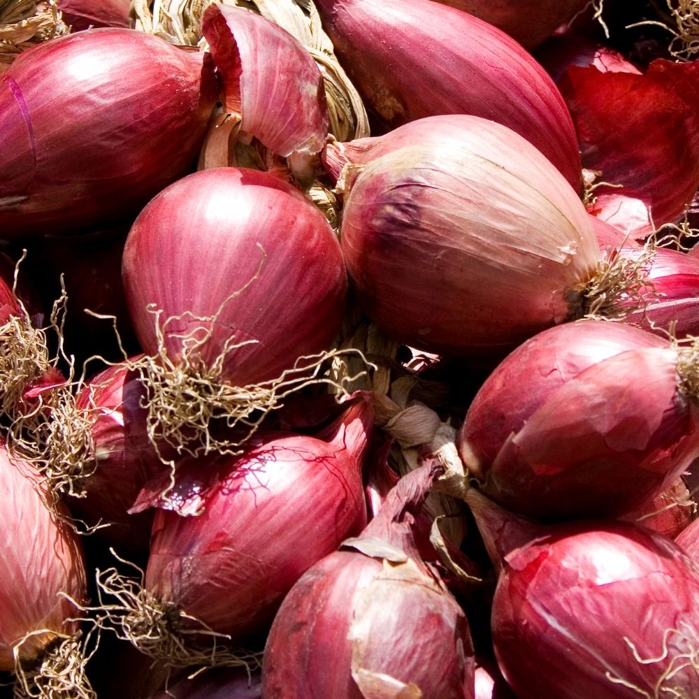 Order organic red onions and other organic fruit and vegetables, delivered direct to your door in Melbourne.